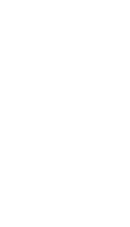 South African Wine Cellar